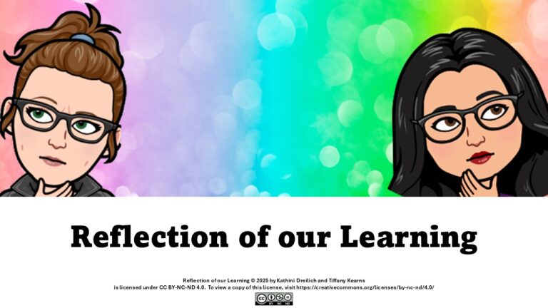Reflection Summary Video