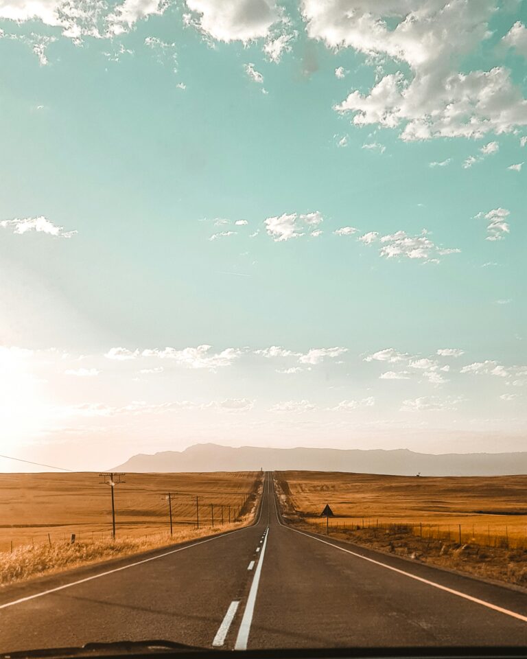 Into the Great Wide Open